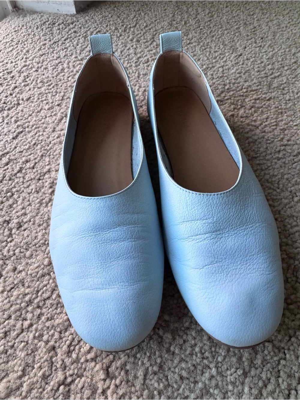 Everlane day glove in baby blue
